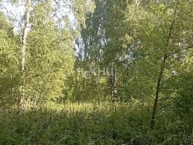 земельный участок 10 004 сотки деревня Досадино